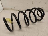Front coil spring