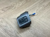 Multifunctional control switch/knob