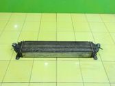 Intercooler radiator