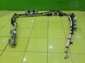 Roof airbag