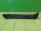 Intercooler radiator