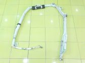 Roof airbag