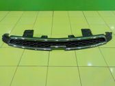 Front bumper upper radiator grill