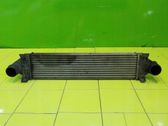 Intercooler radiator