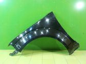 Fender