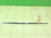 Rear door trim (molding)