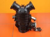 Throttle body valve