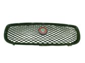 Front bumper upper radiator grill