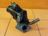 EGR termostatas