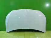 Engine bonnet/hood
