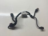 Other wiring loom