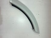Fender trim (molding)
