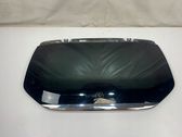 Rear side window