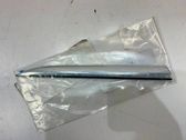 Fender trim (molding)