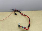 Positive wiring loom