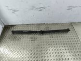 Drive shaft (set)