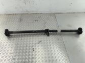 Drive shaft (set)