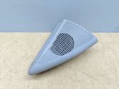 Front door speaker