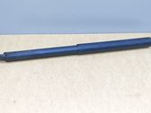 Tailgate/trunk strut/damper