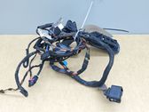 Front door wiring loom