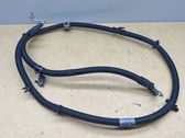 Wires (starter motor)