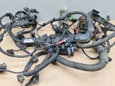 Faisceau de câblage pour moteur