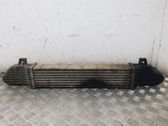 Radiatore intercooler