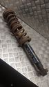 Rear shock absorber with coil spring