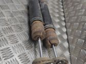 Stoßdämpfer hinten