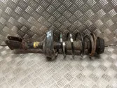 Front shock absorber with coil spring