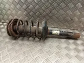 Front shock absorber with coil spring