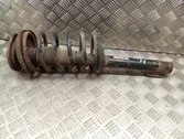 Front shock absorber with coil spring