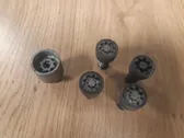 Anti-theft wheel nuts and lock