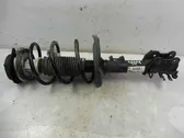 Front shock absorber with coil spring