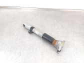 Rear shock absorber/damper