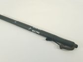 Tailgate/trunk strut/damper
