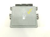 Unidad de control/módulo del motor