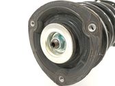 Amortiguador delantero con muelle espiral