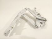 Bisagras del capó/tapa del motor