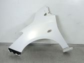 Fender