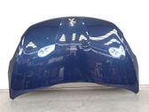 Engine bonnet/hood