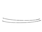 Roof trim bar molding cover