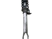 Front shock absorber with coil spring
