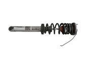 Rear shock absorber/damper