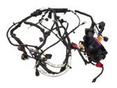 Engine installation wiring loom