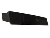 Other front door trim element