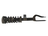 Front shock absorber with coil spring