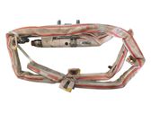 Roof airbag