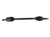 Rear driveshaft