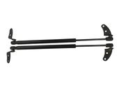 Front bonnet/hood damper/strut